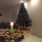 Christmas tree and Nativity 2015