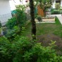 My garden